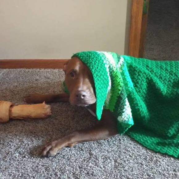 Meet your Posher, Elizabeth - Picture 1 of 1